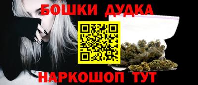 МДПВ Лесосибирск
