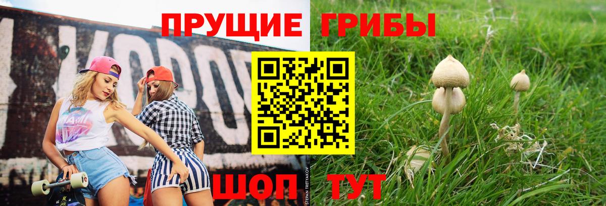 Галлюциногенные грибы GOLDEN TEACHER  Вход с VPN  магазин продажи   Владикавказ 