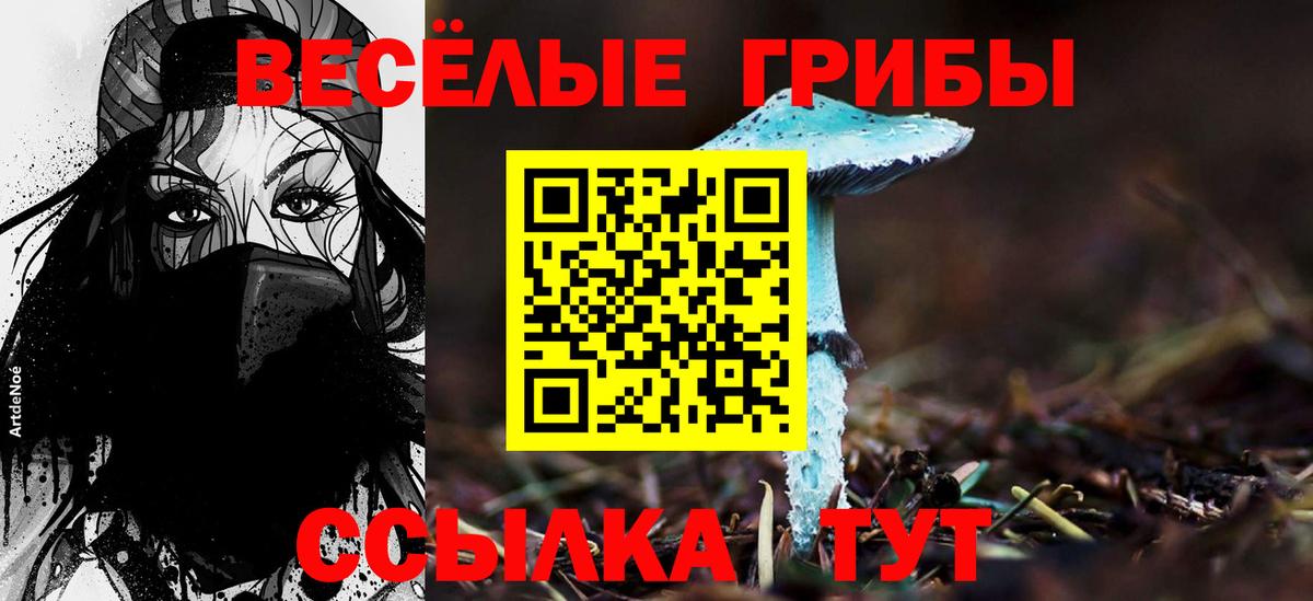 Псилоцибиновые грибы Cubensis Владикавказ